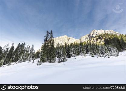Winter scenery in the Austrian Alps with clean white snow and snowy forest. Snow-covered trees and rocky mountains under a blue sky