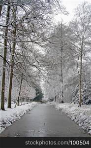 Winter scenery in the forest in the Netherlands