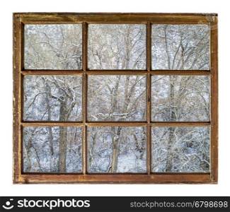 Winter scenery of trees in a canyon as seen through vintage, grunge, sash window with dirty glass
