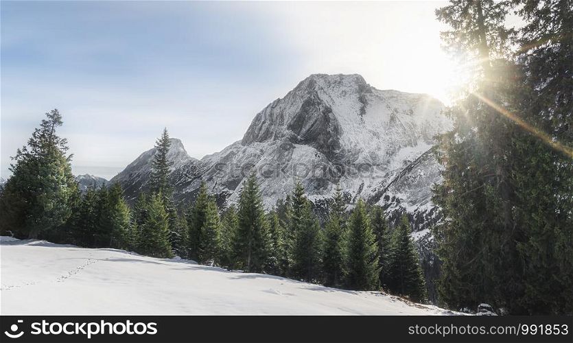 Winter scenery with snow-covered Alps mountains peaks, fir trees, snowdrifts, and sunshine, near Ehrwald, Austria. Winter landscape with Austrian Alps.