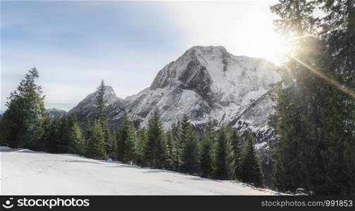 Winter scenery with snow-covered Alps mountains peaks, fir trees, snowdrifts, and sunshine, near Ehrwald, Austria. Winter landscape with Austrian Alps.