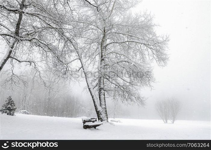 Winter scenery with snowflakes falling over an empty park, leafless trees, wooden bench and a thick layer of snow, near Schwabisch Hall, Germany.