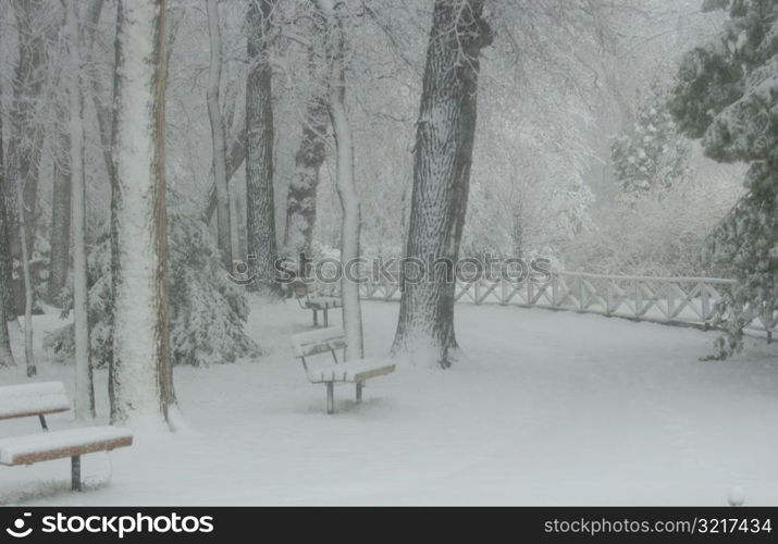 Winter Scenes - Canada