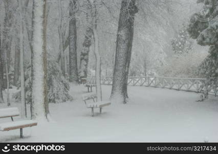 Winter Scenes - Canada