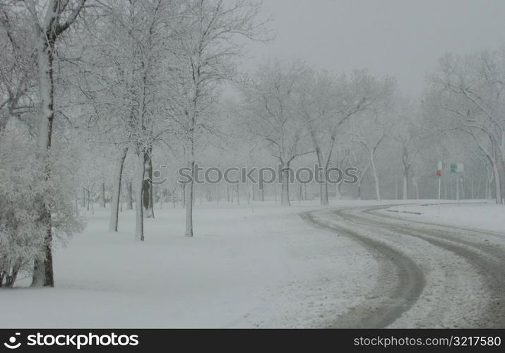 Winter Scenes - Canada