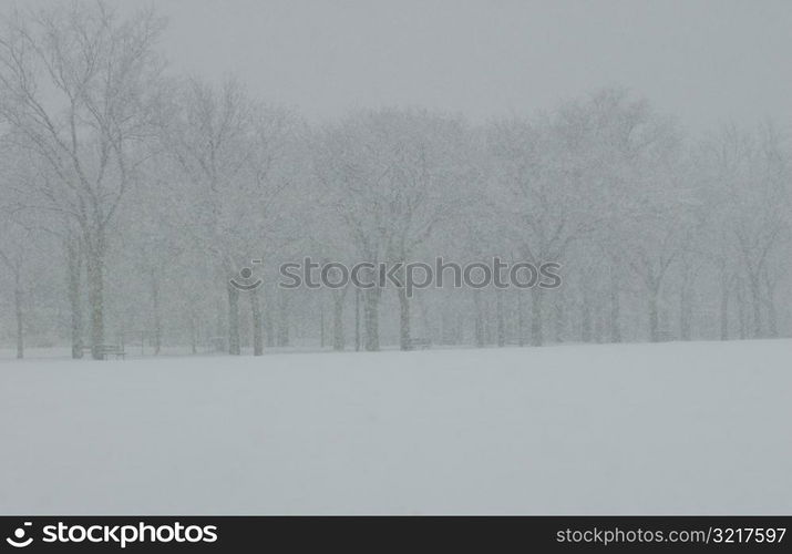 Winter Scenes - Canada