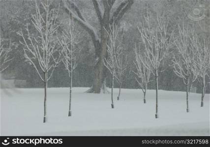 Winter Scenes - Canada