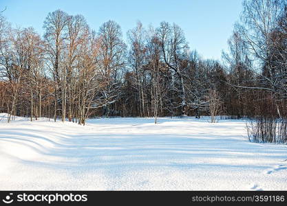 Winter scenic