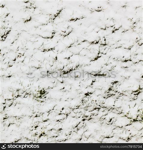 Winter season and seasonal specific. Fresh snow on green grass closeup concept background. Square format
