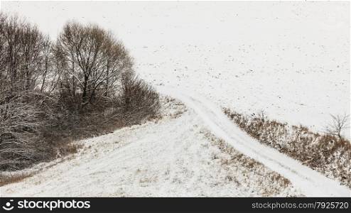 Winter season and seasonal specific. Hilly fields maedows trees covered with white fresh snow. Countryside landscape