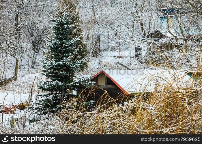 Winter season and seasonal specific. Trees and houses covered with white fresh snow. Countryside landscape