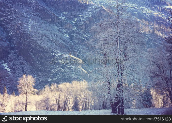 Winter season in Yosemite National Park, California, USA