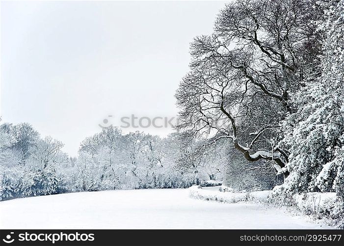 Winter snow landscape in English countryside