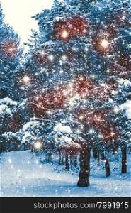 Winter snow scene with magic light