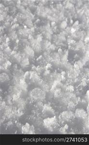 Winter snow surface crystals texture (close up)