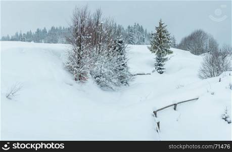 Winter snowfall Carpathian Mountains landscape with snowy trees. Three shots stitch high-resolution panorama.
