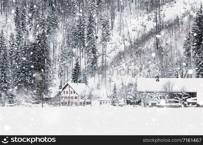 Winter Snowy Bavarian Alpine landscape with snow covered field, house and trees. Magic wintry scenery background at snowfall. Germany, Europe. Monochromatic neutral tones with natural light