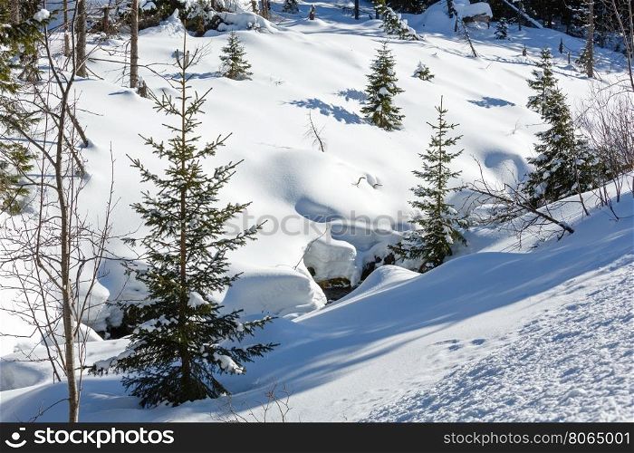 Winter snowy mountain hill with small fir trees and stream under snowdrifts.