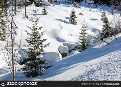 Winter snowy mountain hill with small fir trees and stream under snowdrifts.