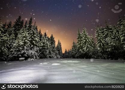 winter snowy night in a forest. Winter fairy tale nature landscape