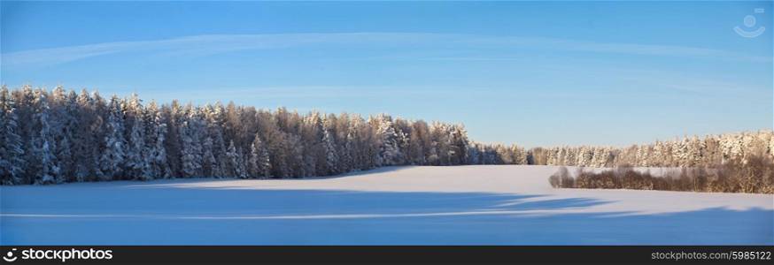 Winter sunny day in Belarus. Panorama. Snow landscape