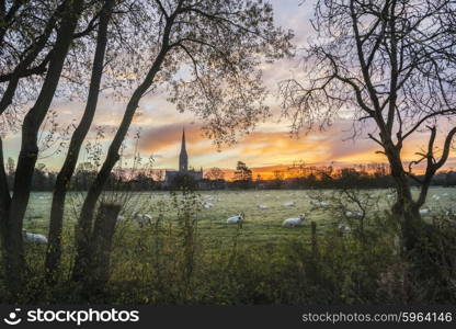 Winter sunrise landscape Salisbury cathedral city in England