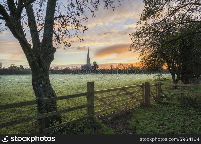 Winter sunrise landscape Salisbury cathedral city in England