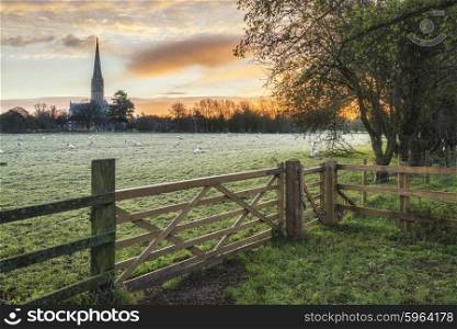 Winter sunrise landscape Salisbury cathedral city in England