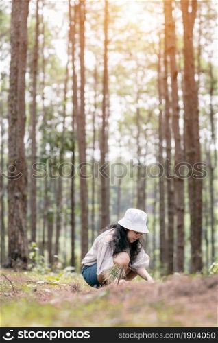 Winter travel relax vacation,Portrait Asian female tourist in white dress with hat stands in pinewood cabin in pine forest green on nature trail at Doi Bo Luang Forest Park,Chiang Mai, Thailand