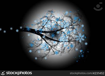 winter tree with snowflakes isolated on black background