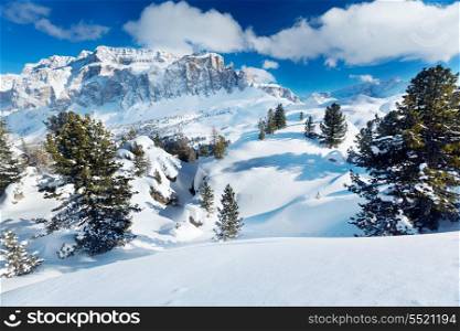 Winter trees in alp mountains
