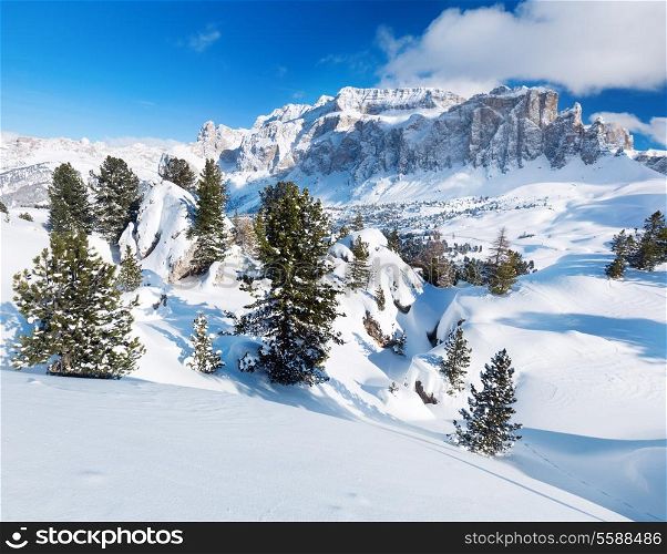 Winter trees in alp mountains