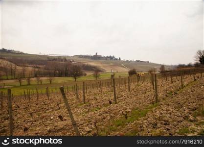 Winter vineyard with small town on the background, hoirizontal image