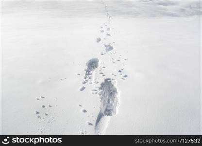 Winter wandering scenery with footsteps in a thick layer of snow on a sunny day. Endless row of footprints in the snow. Winter background.