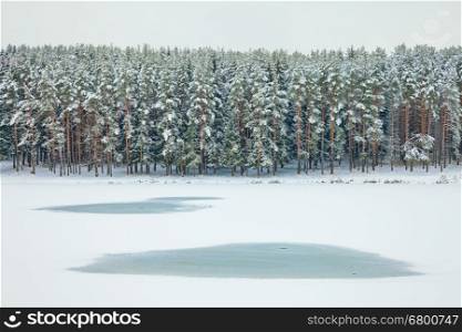 Winter wonderland. Fir tree forest covered with snow and frozen lake.