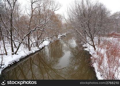 winter wood with river