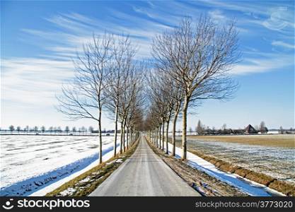 Winterlandscape in the countryside from the Netherlands