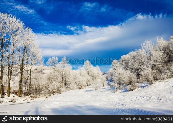 Wintre landscape - trees near the river and blue sky