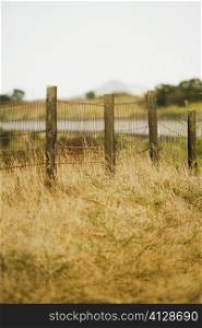 Wire fence put around a meadow