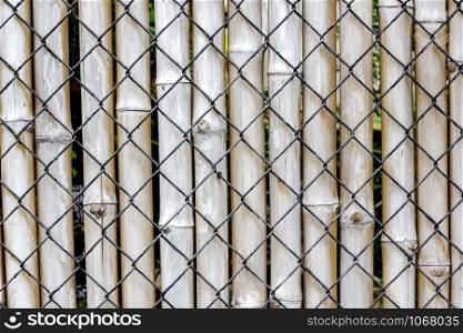 Wire Mesh and Bamboo Fence