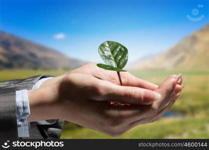 With care to nature. Hand of businesswoman holding with care green sprout in soil