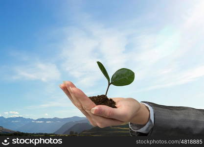 With care to nature. Hand of businesswoman holding with care green sprout in soil