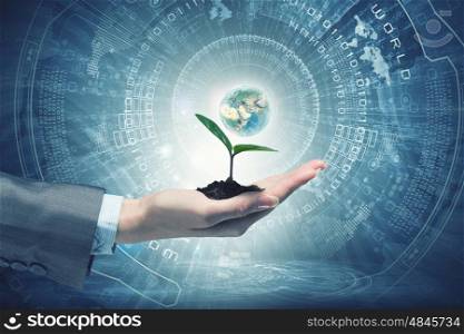 With care to nature. Hand of businesswoman holding with care green sprout in soil. Elements of this image are furnished by NASA