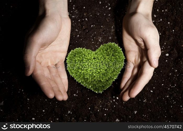 With love and care to our nature. Human hands holding in palms green love heart