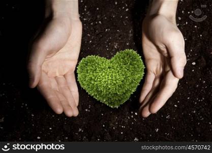 With love and care to our nature. Human hands holding in palms green love heart