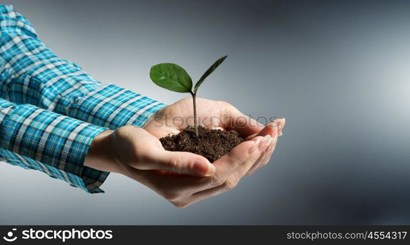 With love and care you will make it grow. Female hand holding green sprout with soil in palm