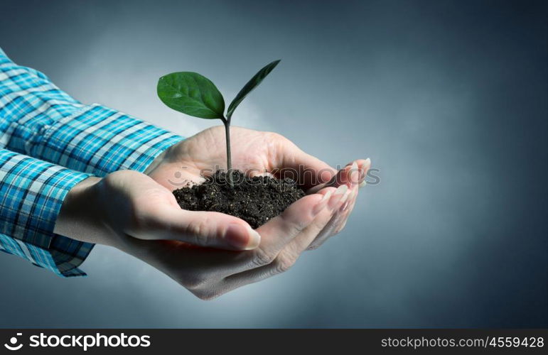 With love and care you will make it grow. Female hand holding green sprout with soil in palm