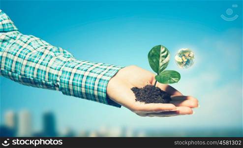 With love and care you will make it grow. Female hand holding green sprout with soil in palm. Elements of this image are furnished by NASA