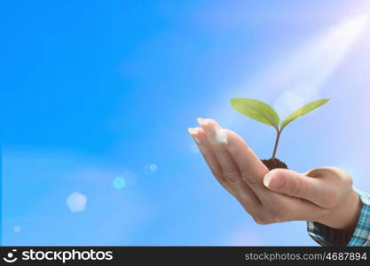 With love and care you will make it grow. Female hand holding green sprout with soil in palm