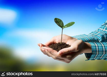 With love and care you will make it grow. Female hand holding green sprout with soil in palm